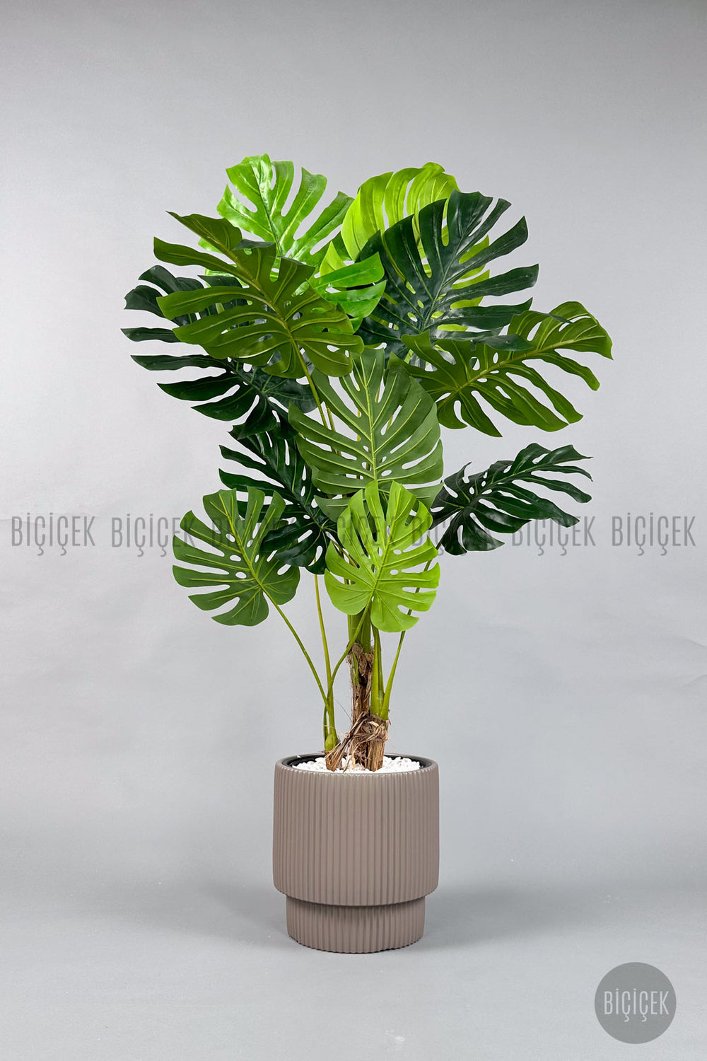 Yapay Monstera Ağacı Deve Tabani 160 Cm Mocha Vega Saksıda