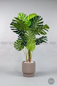 Yapay Monstera Ağacı Deve Tabani 160 Cm Mocha Vega Saksıda