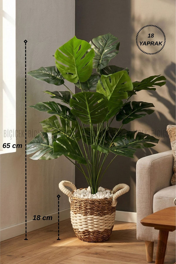 Yapay Monstera Deve Tabani Bitkisi 60 Cm Krem Orgulu Hasir Saksıda