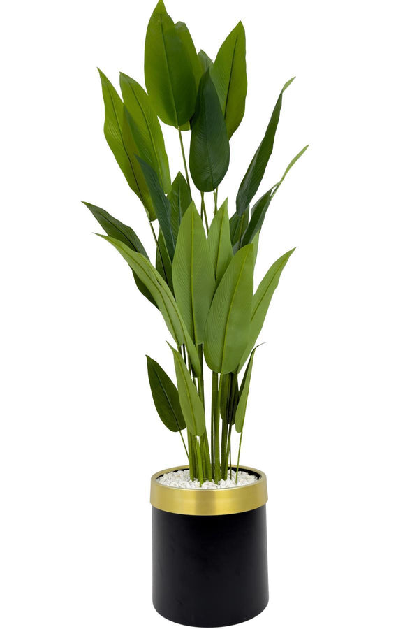 Yapay Starlice 220 Cm Metal Gövdeli 22 Yapraklı Metal Saksıda