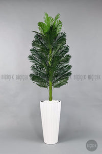 Yapay Areka Ağaci 220 Cm Lilyum Saksıda