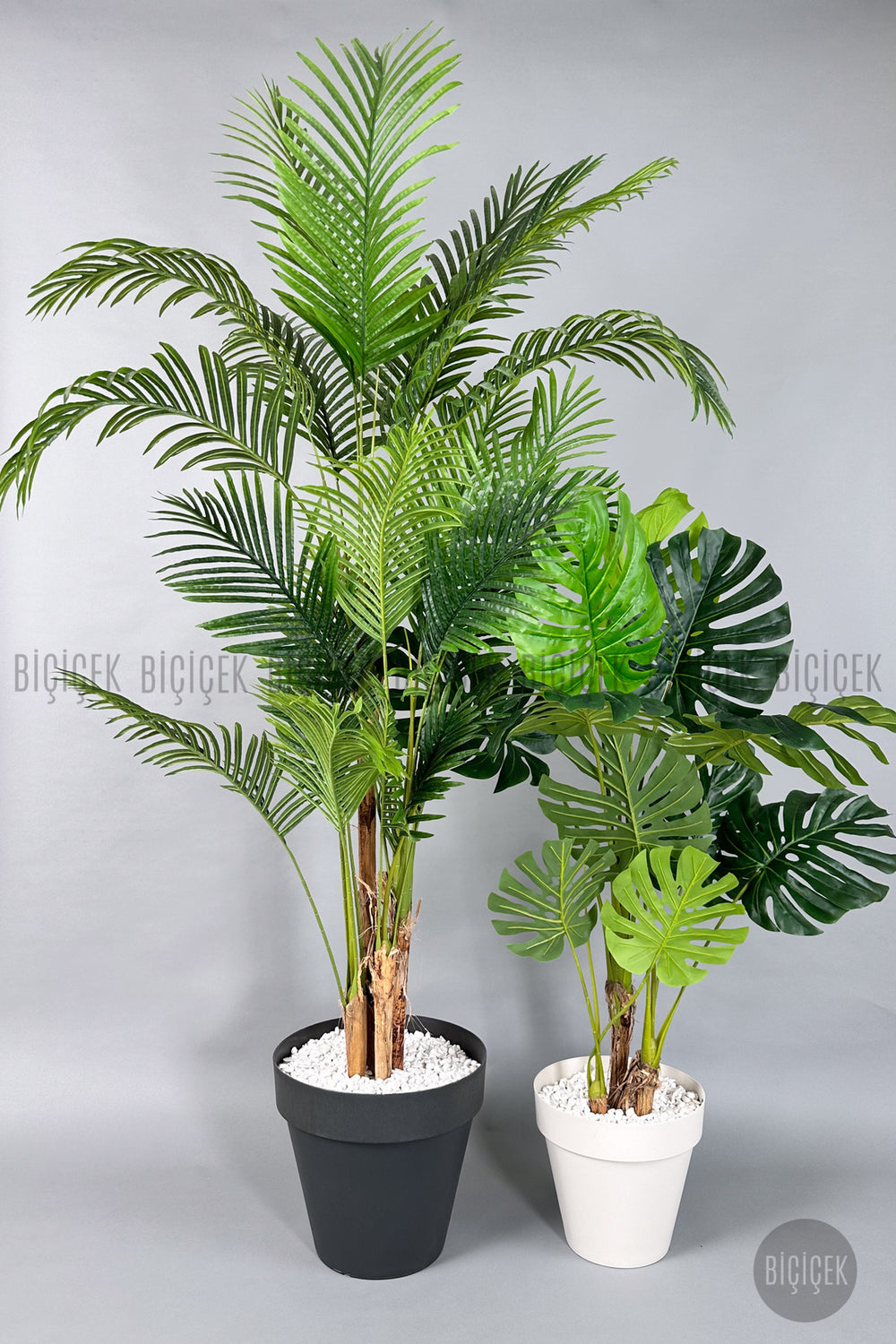 Yapay Areka Palmiyesi Ve Monstera Ağacı Yali Saksıda