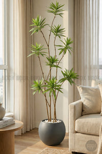 Yapay Dragon Bi̇tki̇si̇ 160 Cm Antresi̇t Küre Saksıda
