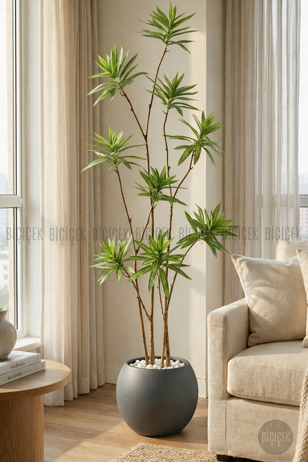 Yapay Dragon Bi̇tki̇si̇ 160 Cm Antresi̇t Küre Saksıda