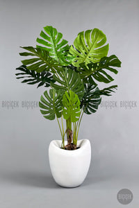 Yapay Monstera Ağacı Deve Tabani 170 Cm Lale Saksıda