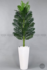 Yapay Areka Ağaci 220 Cm Lilyum Saksıda - Beyaz