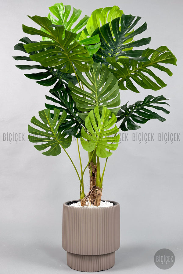 Yapay Monstera Ağacı Deve Tabani 160 Cm Mocha Vega Saksıda