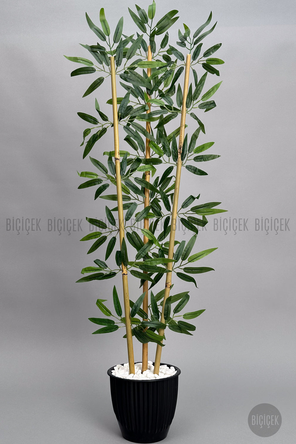 Bambu Ağaci 110 Cm 3 Gövdeli