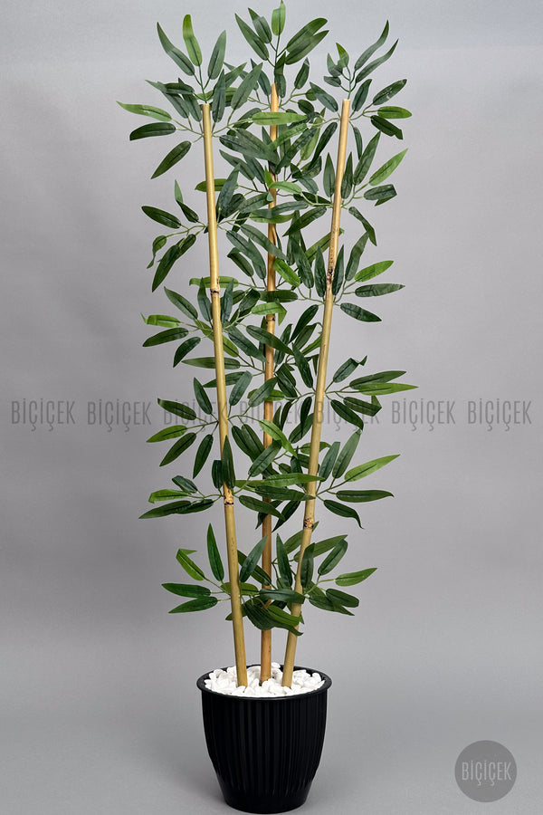 Bambu Ağaci 110 Cm 3 Gövdeli