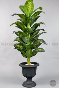 Yapay Di̇fenbahya 200 Cm Antresi̇t Nergi̇s Saksıda