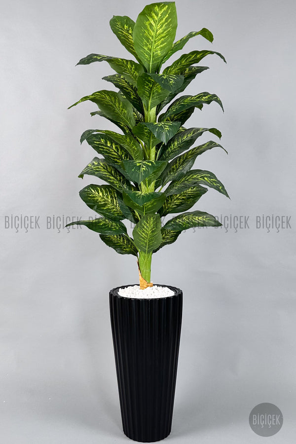 Yapay Di̇fenbahya Ağacı 220 Cm Si̇yah Li̇lyum Saksıda