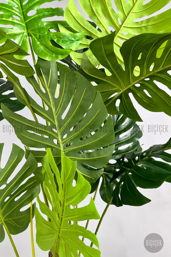 Yapay Monstera Ağacı Deve Tabani 170 Cm Antresi̇t Lale Saksıda