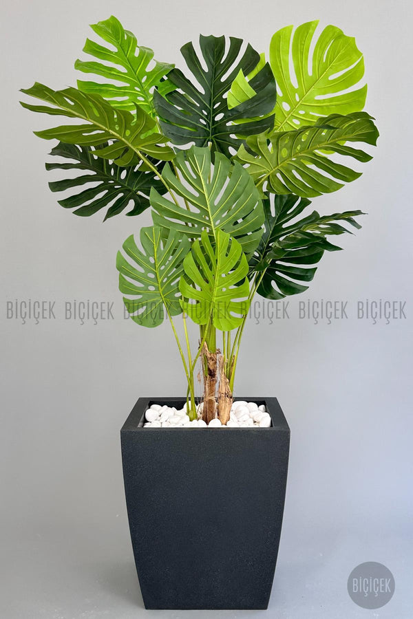 Yapay Monstera Ağacı Deve Tabani 180 Cm Antresit Kemer Saksıda