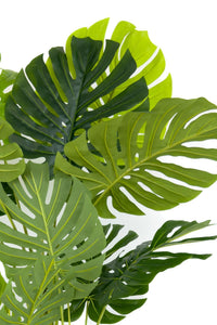 Yapay Monstera Ağacı Deve Tabani 170 Cm Darbuka Saksıda