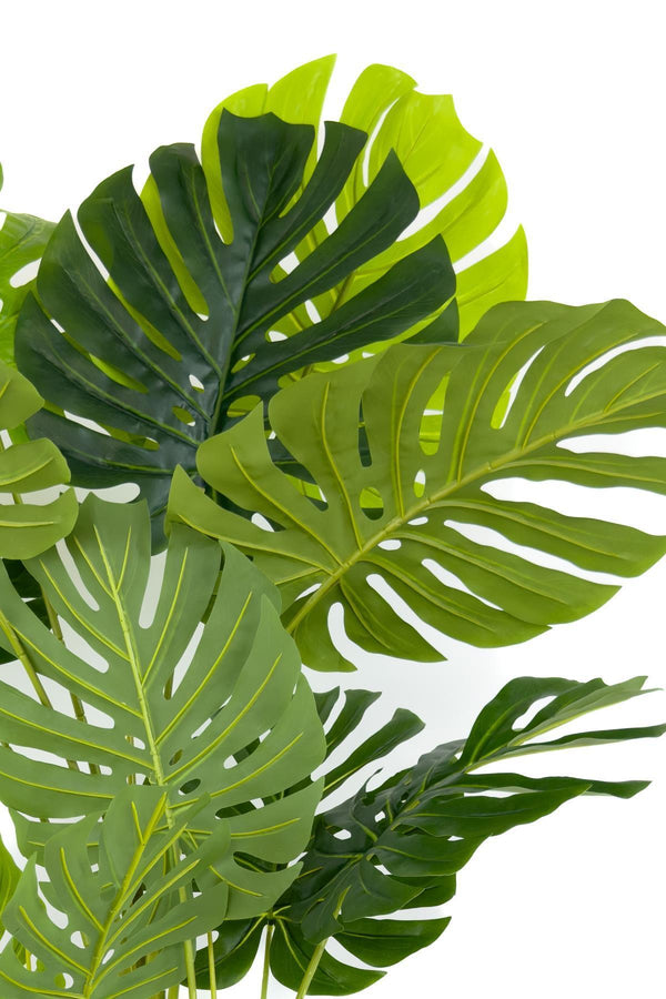 Yapay Monstera Ağacı Deve Tabani 170 Cm Darbuka Saksıda
