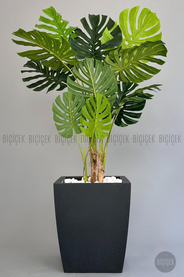 Yapay Monstera Ağacı Deve Tabani 180 Cm Antresit Kemer Saksıda