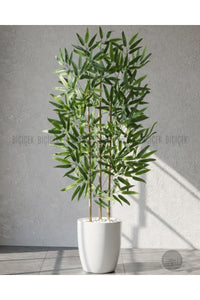 110 Cm Bambu Ağacı Yakut Saksıda
