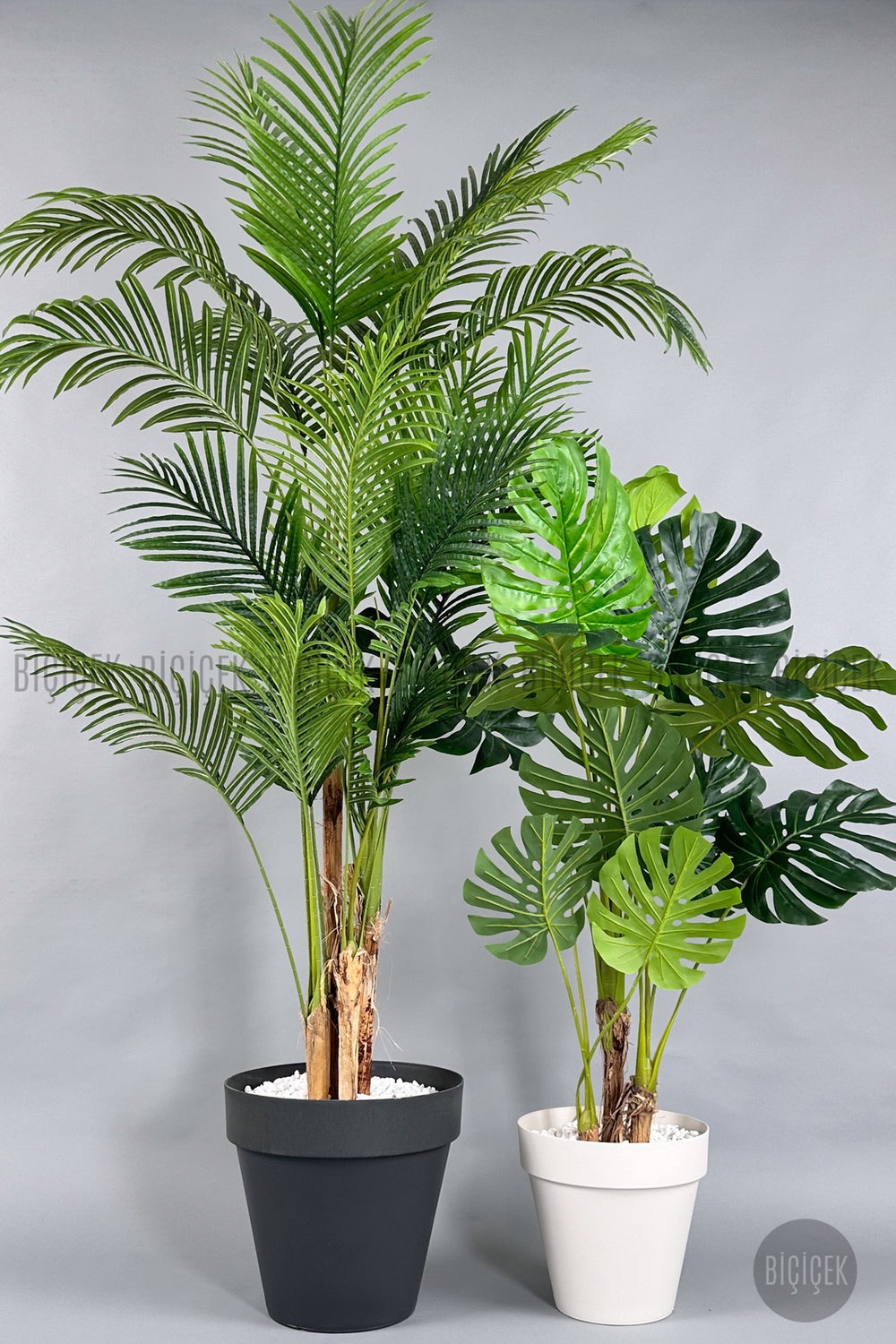Yapay Areka Palmiyesi Ve Monstera Ağacı Yali Saksıda