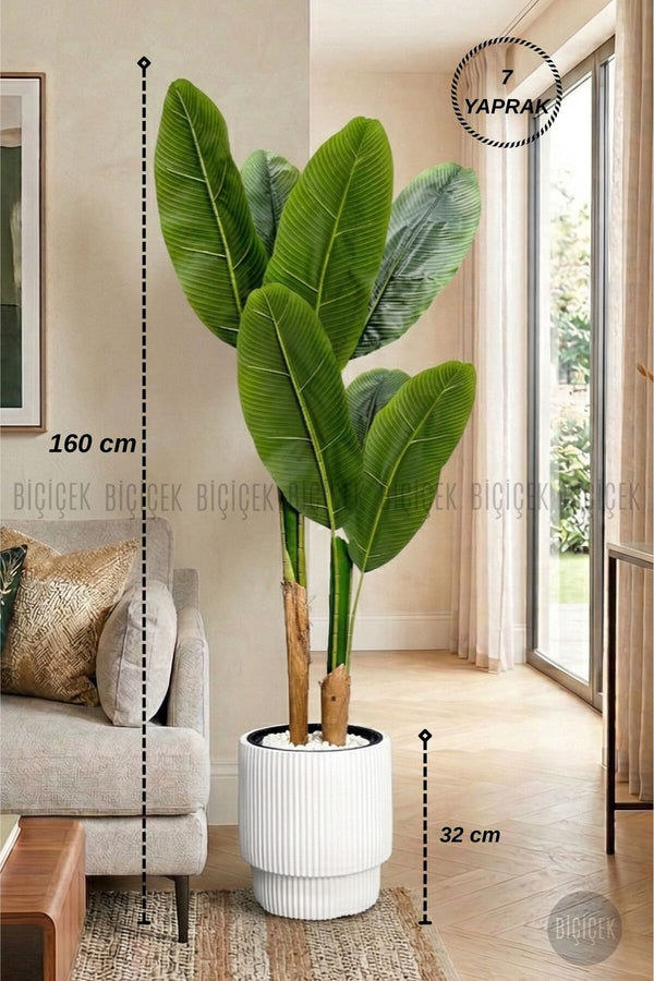 Yapay Starlice 160 Cm 7 Yapraklı Vega Saksıda - Beyaz