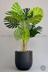 Yapay Monstera Ağacı Deve Tabani 180 Cm Antresit Çeşme Saksıda