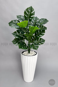 Yapay Monstera Deve Tabani Bitkisi 130 Cm Beyaz Lilyum Saksıda