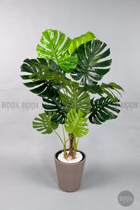 Yapay Monstera Ağacı Deve Tabani 160 Cm Mocha Luna Saksıda