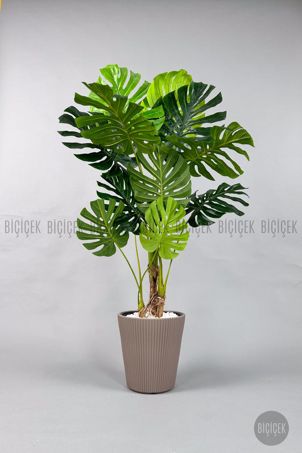 Yapay Monstera Ağacı Deve Tabani 160 Cm Mocha Luna Saksıda