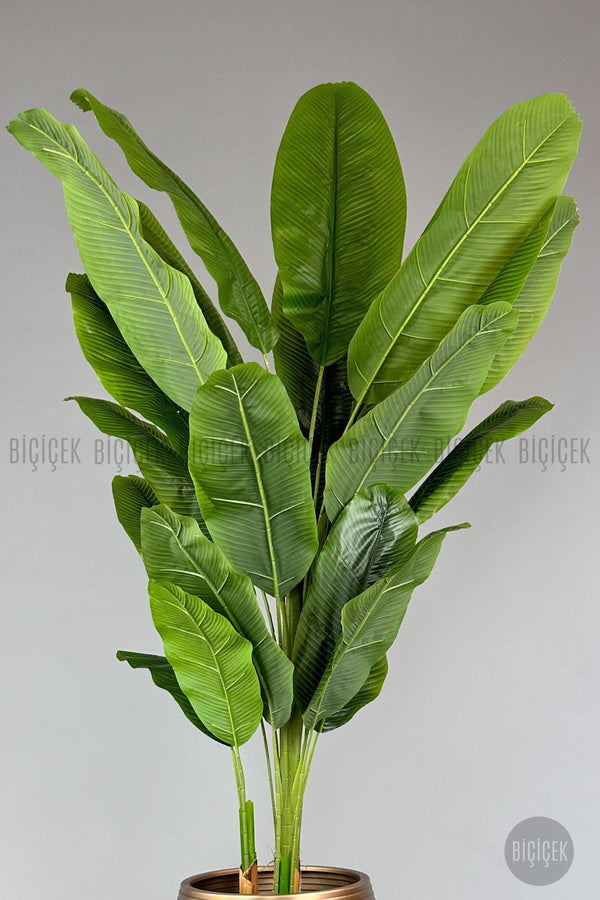 Yapay Starli̇ce 230 Cm Bambu Gövdeli̇ 22 Yapraklı Si̇yah Gold Cleopatra Saksıda