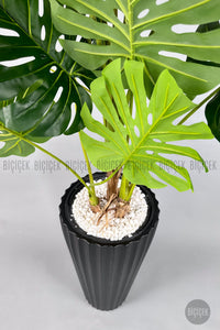 Yapay Monstera Ağacı Deve Tabani 200 Cm Siyah Lilyum Saksıda