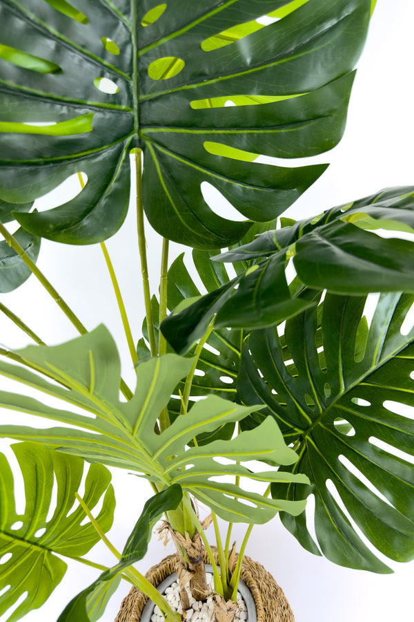 Yapay Monstera Ağacı Deve Tabani 180 Cm Bohem Saksıda