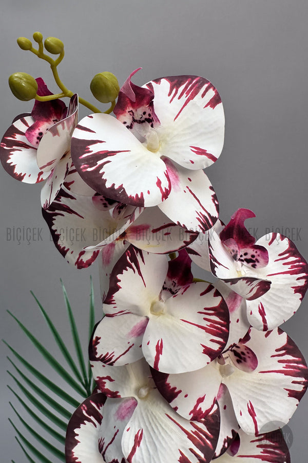 Yapay Phalaenopsis Mor Benekli Orkide 60 Cm