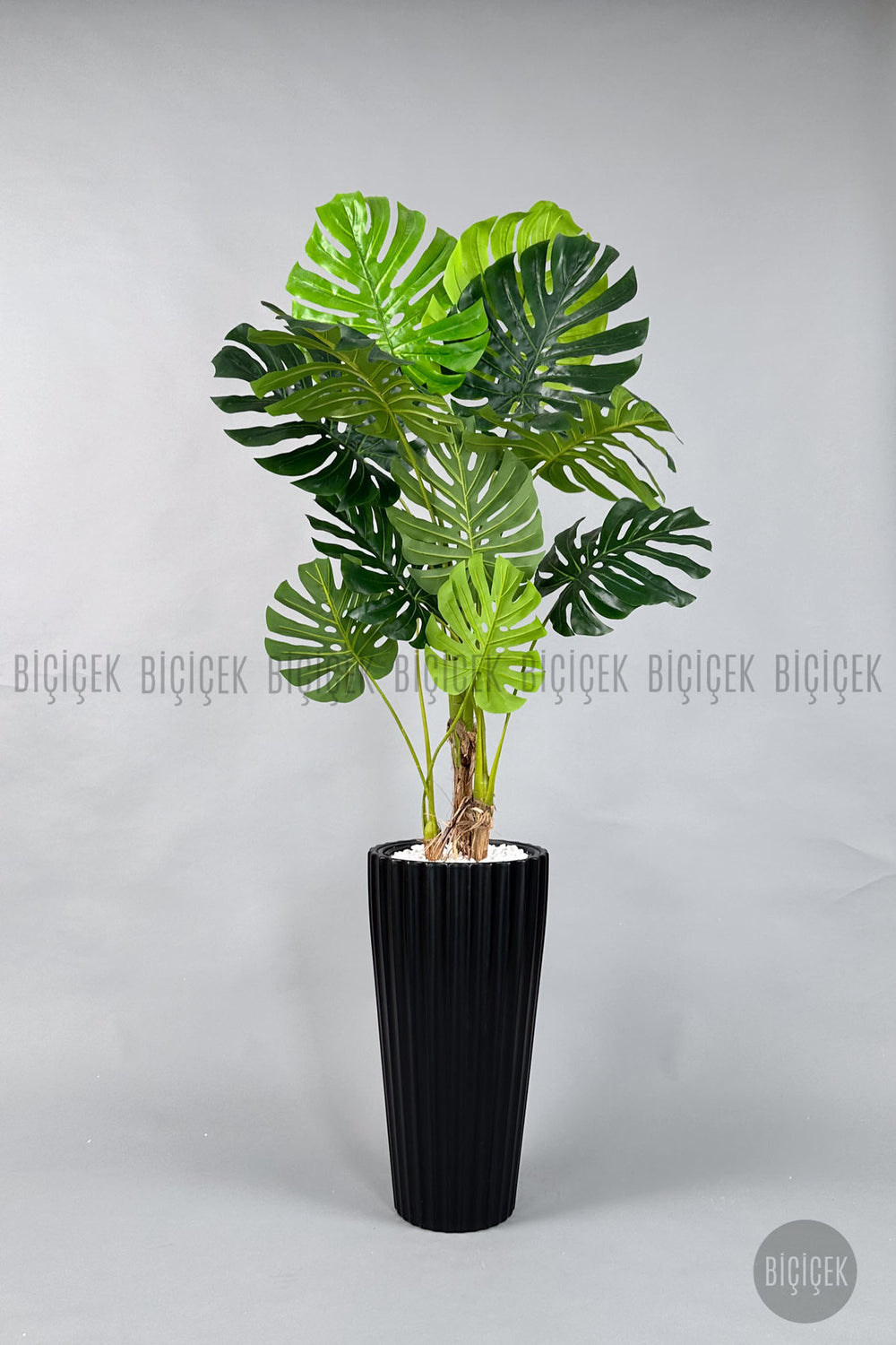 Yapay Monstera Ağacı Deve Tabani 200 Cm Siyah Lilyum Saksıda