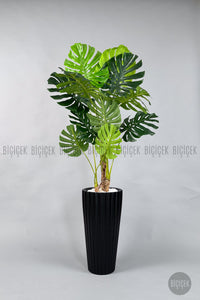 Yapay Monstera Ağacı Deve Tabani 200 Cm Siyah Lilyum Saksıda