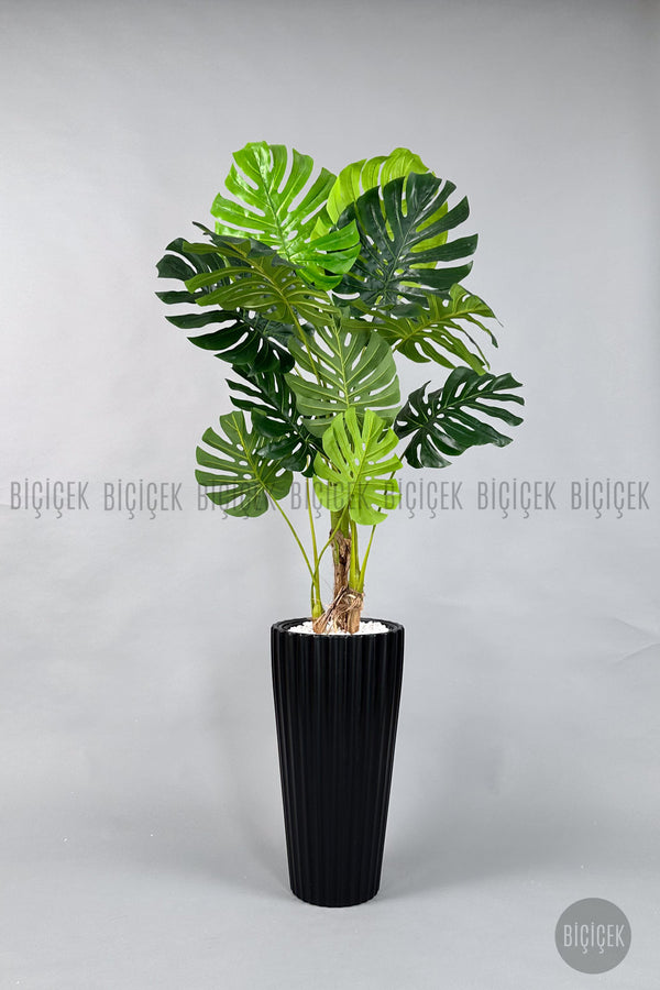 Yapay Monstera Ağacı Deve Tabani 200 Cm Siyah Lilyum Saksıda