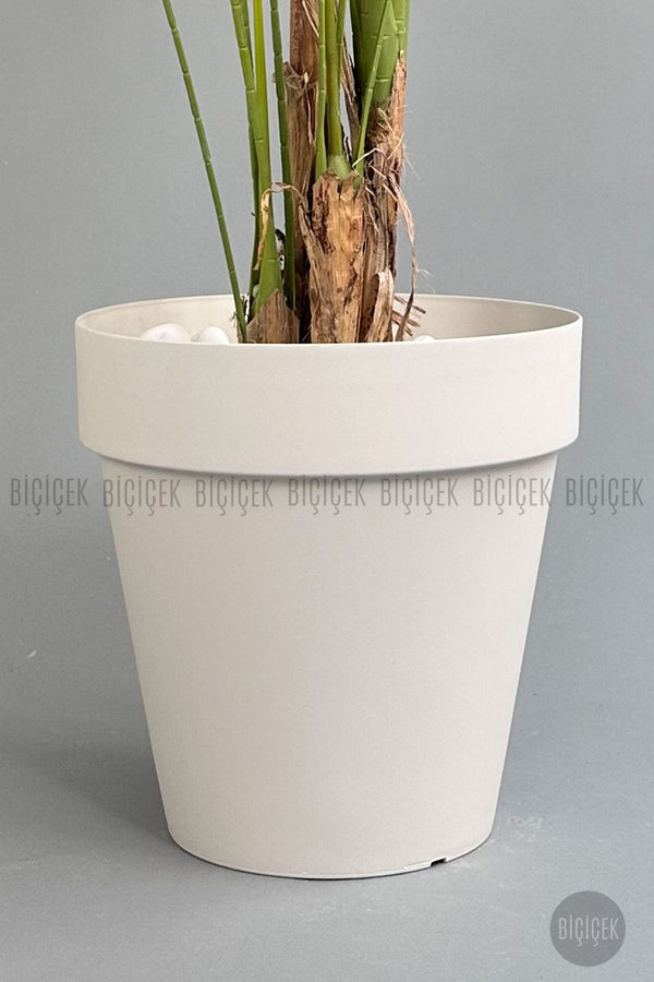 Yapay Areka Ağaci 220 Cm 4 Gövdeli Krem Yali Saksıda