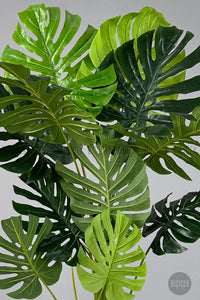 Yapay Monstera Ağacı Deve Tabani 200 Cm Beyaz Lilyum Saksıda