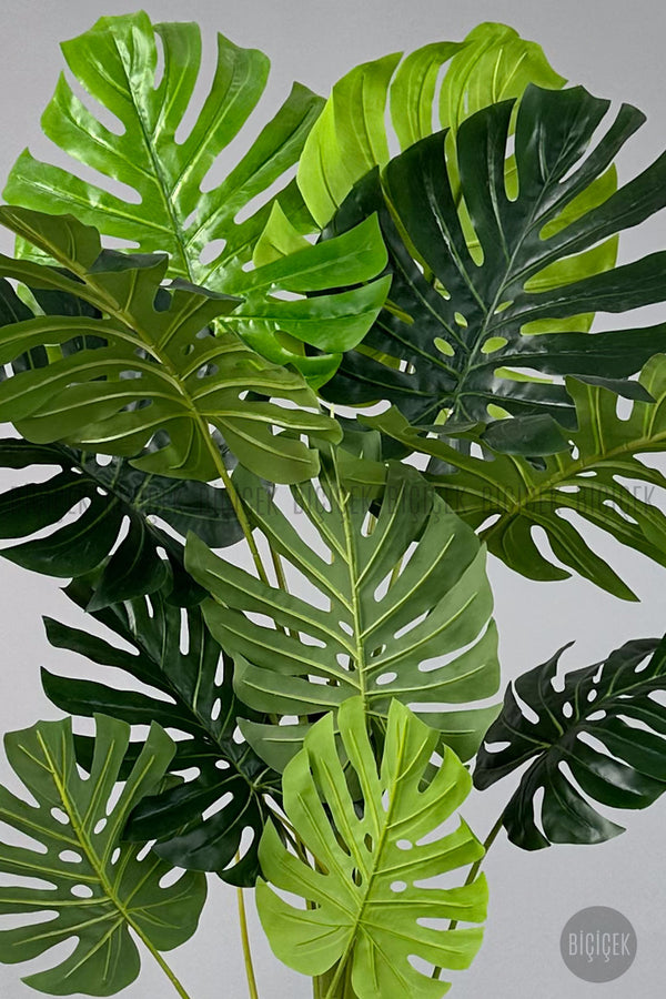 Yapay Monstera Ağacı Deve Tabani 200 Cm Beyaz Lilyum Saksıda