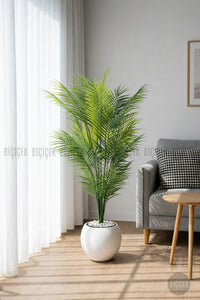 Areka Ağaci 24 Yapraklı 130 Cm Küre Saksıda