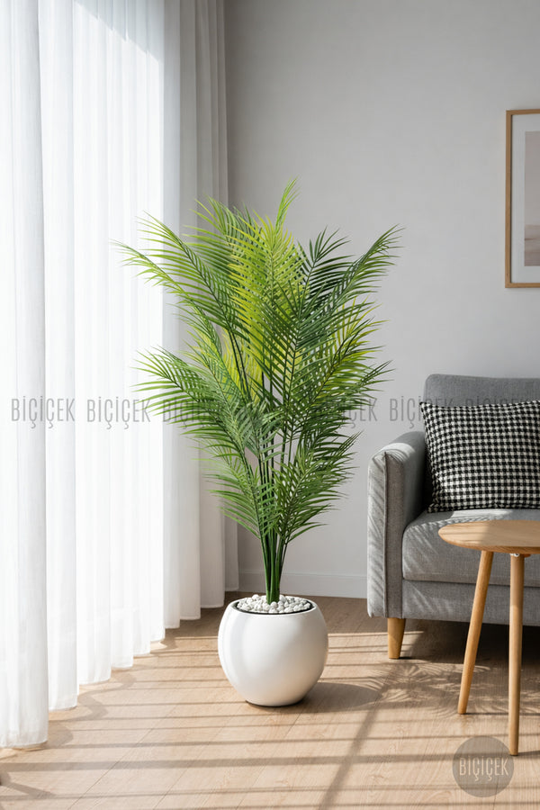 Areka Ağaci 24 Yapraklı 130 Cm Küre Saksıda