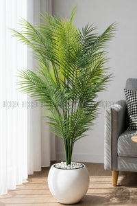 Areka Ağaci 24 Yapraklı 130 Cm Küre Saksıda
