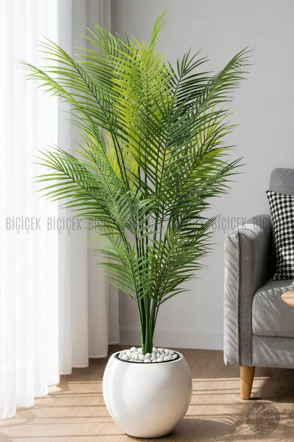 Areka Ağaci 24 Yapraklı 130 Cm Küre Saksıda