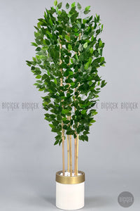 Yapay Benjamin Ağacı 170cm Krem Gold Metal Saksıda