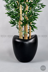 Zen Bambu Ağacı 240 Cm Mocha Bone Saksıda