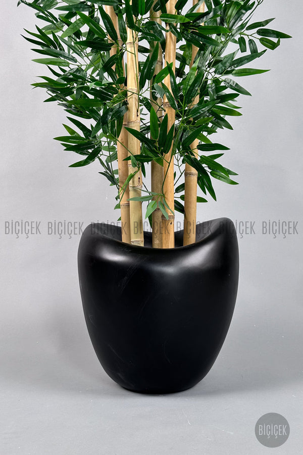Zen Bambu Ağacı 240 Cm Mocha Bone Saksıda