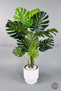Yapay Monstera Ağacı Deve Tabani 160 Cm Vega Saksıda