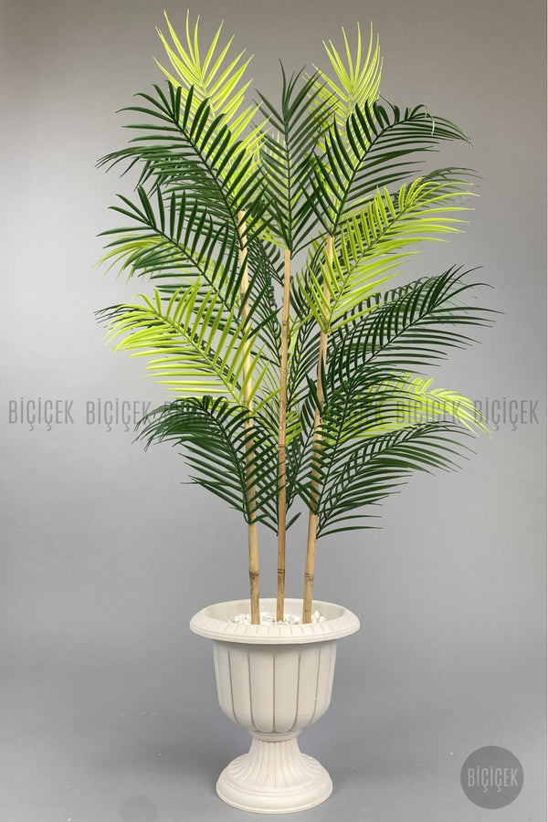Yapay Areka Ağaci 125 Cm 24 Yapraklı Krem Nergi̇s Saksıda