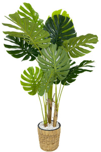 Yapay Monstera Ağacı Deve Tabani 150 Cm Su Sümbülü Hasir Saksıda