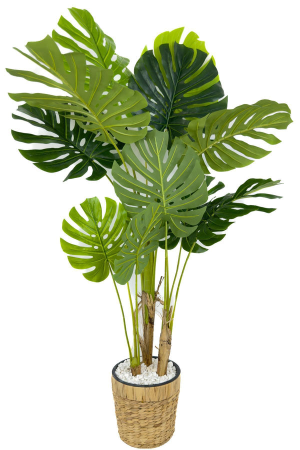 Yapay Monstera Ağacı Deve Tabani 150 Cm Su Sümbülü Hasir Saksıda