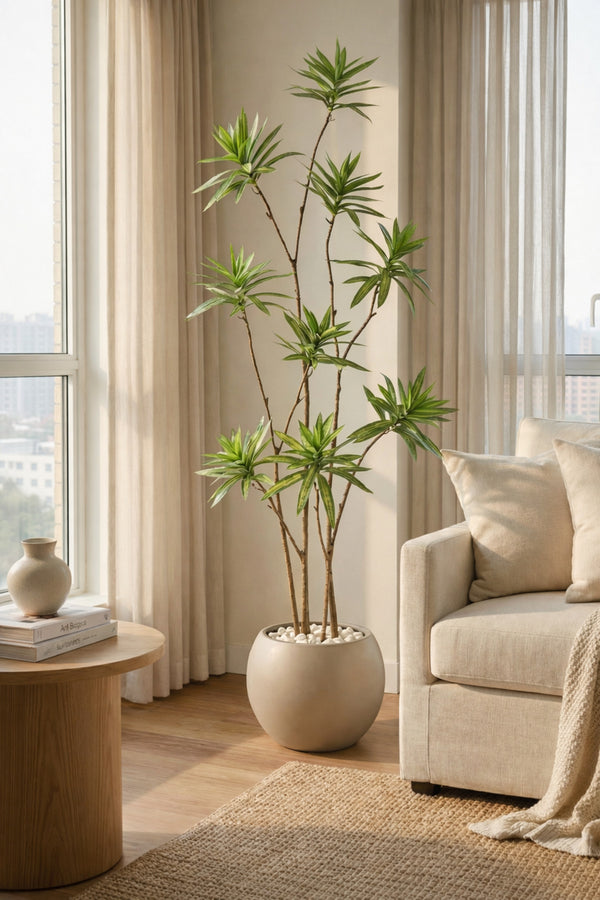 Yapay Dragon Bi̇tki̇si̇ 160 Cm Antresi̇t Mocha Saksıda