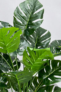 Yapay Monstera Deve Tabani Bitkisi 60 Cm Krem Orgulu Hasir Saksıda